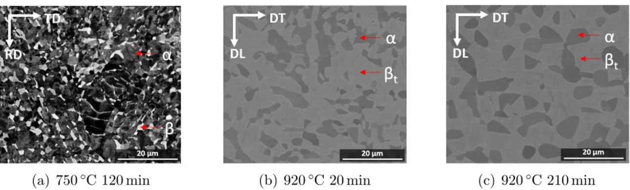 Figure 5: SEM images obtained after water quenching from isothermal holding at high temperature: 750 ◦ C for 120 min (a), 920 ◦ C for 20 min (b) and 920 ◦ C for 210 min (c).