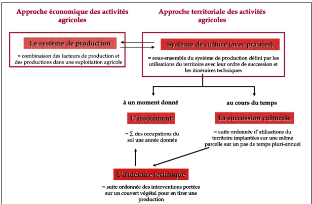 Figure 20 : Schéma des principaux descripteurs des activités agricoles et de leurs  relations 