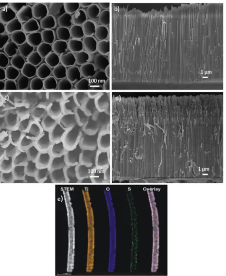 Fig. 1. SEM images of the pristine TNTs (a) top view and (b) cross-sectional view; the S-TNTs (c) top view and (d) cross-sectional view; (e) STEM-HAADF image and STEM-EDX elemental maps of a fragment of the S-TNTs.
