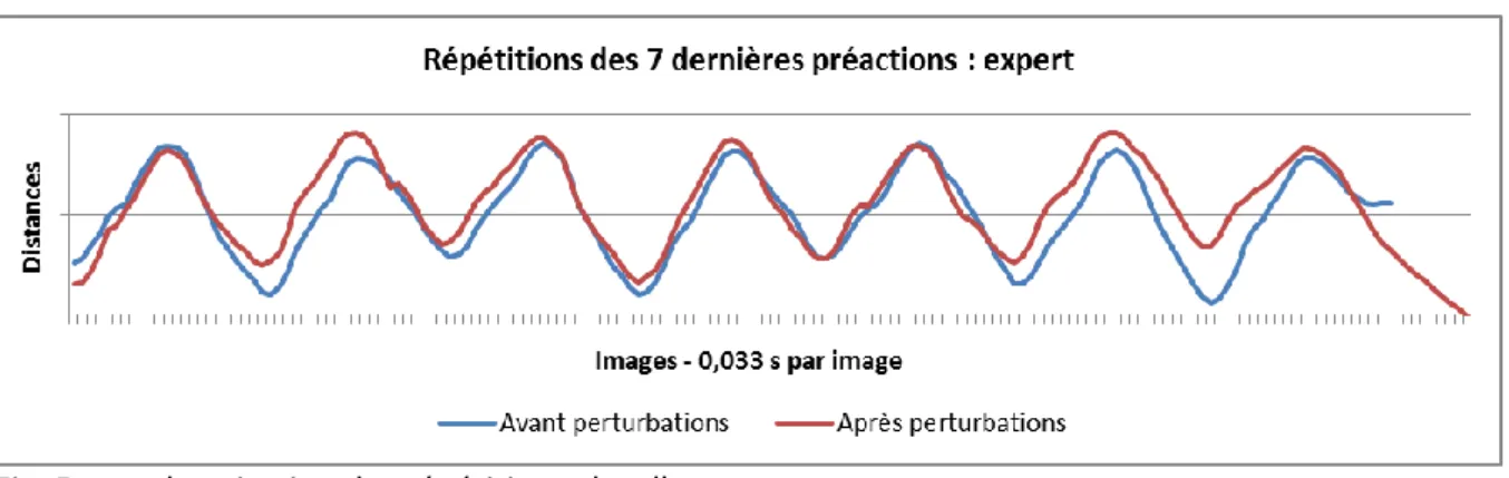 Fig. 5 : synchronisation des répétitions chez l'expert 
