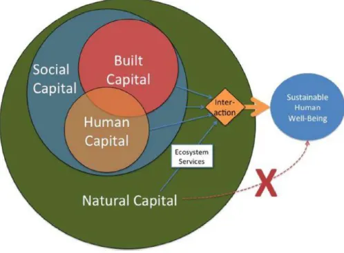 Figure 3 : Les interactions entre les différents capitaux impactent le bien-être humain  (D’après Costanza et al., 2017) 
