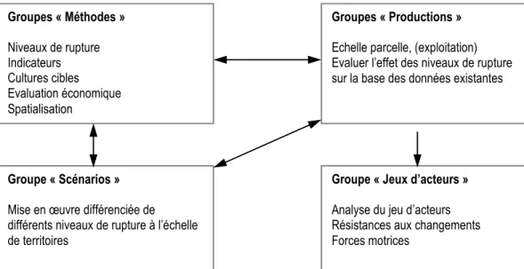 Figure 2 : L’organisation du volet 1 