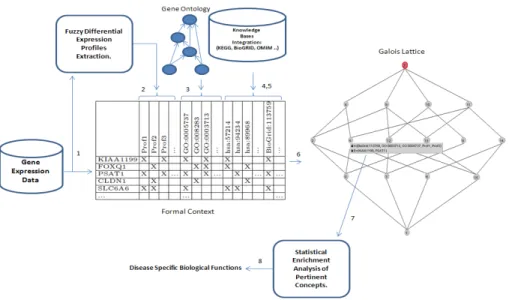 Fig. 2. An overview of the proposed framework, using an FCA-based classification and knowledge integration.
