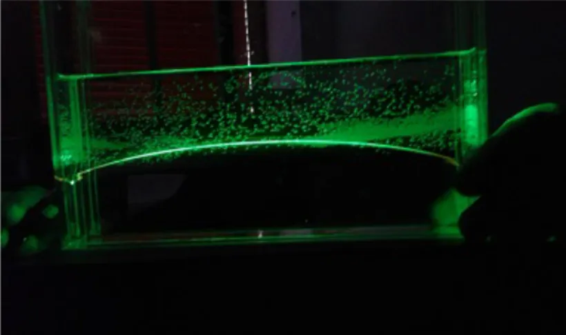 Figure 15. Experiment with a laser beam passing through water and glycerol  It is not difficult to design and build experiments in order to investigate the trajectory of  the  light,  namely  laser  beam,  as  it  goes  through  different  media:  glass,  