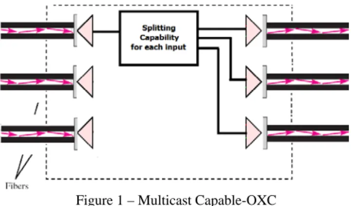 Figure 1 – Multicast Capable-OXC 