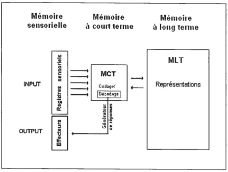 Figure 1. Représentations, traitement et stockage en mémoire (Atkinson et Shiffrin, 1968)
