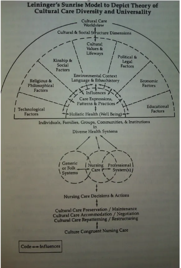 Figure 2 : Sunrise Model (Leininger, 2001) tirée de Leininger, M. M. (2001). Culture  Care Diversity and Universality: A Theory of Nursing