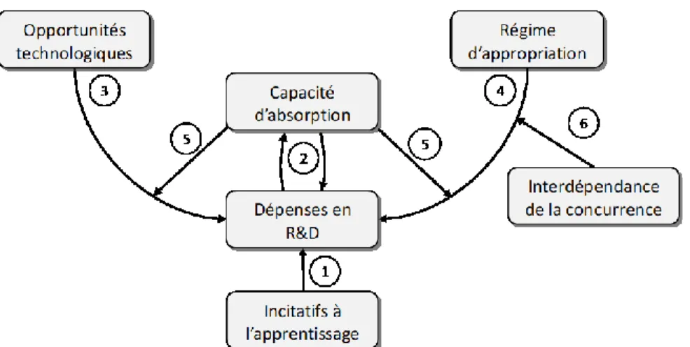 Figure 2 : Modèle environnemental de la capacité d’absorption 