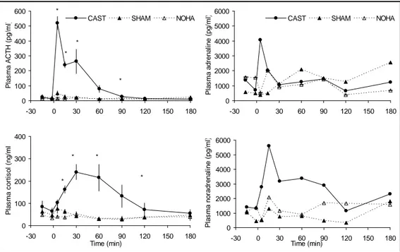 Figure 2. Comparaison de l’influence de la castration (groupe CAST), de la manipulation  mimant la castration (SHAM) ou de l’absence de traitement (groupe NOHA) sur les  concentrations plasmatiques d’ACTH*, de cortisol* et de catécholamines à différents mo