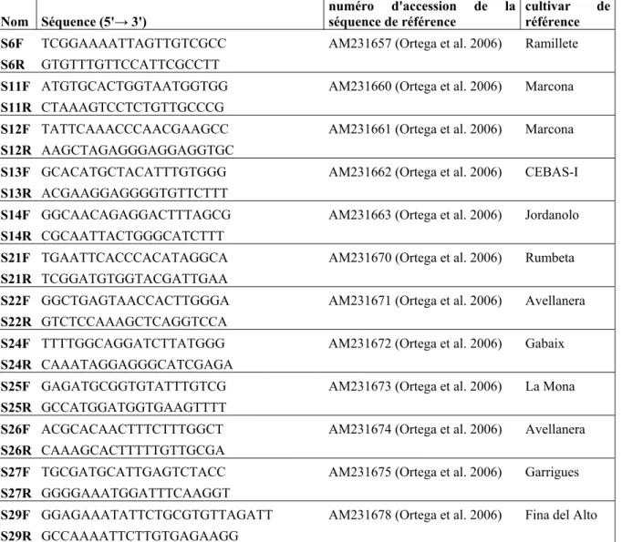 Tableau 2 : Amorces spécifiques d’allèles connus créées 