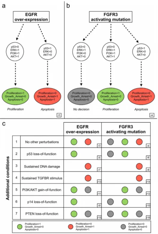 Figure 4. Coherence of the logical model with well established bladder cancer deregulations