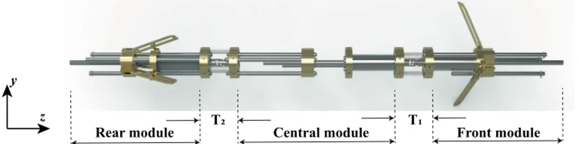 Fig. 1. 3D model of the existing bio-inspired robot coupled with the tensegrity mechanisms
