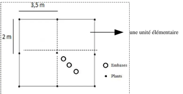 Figure 4. Disposition du matériel expérimental : les embases en inox