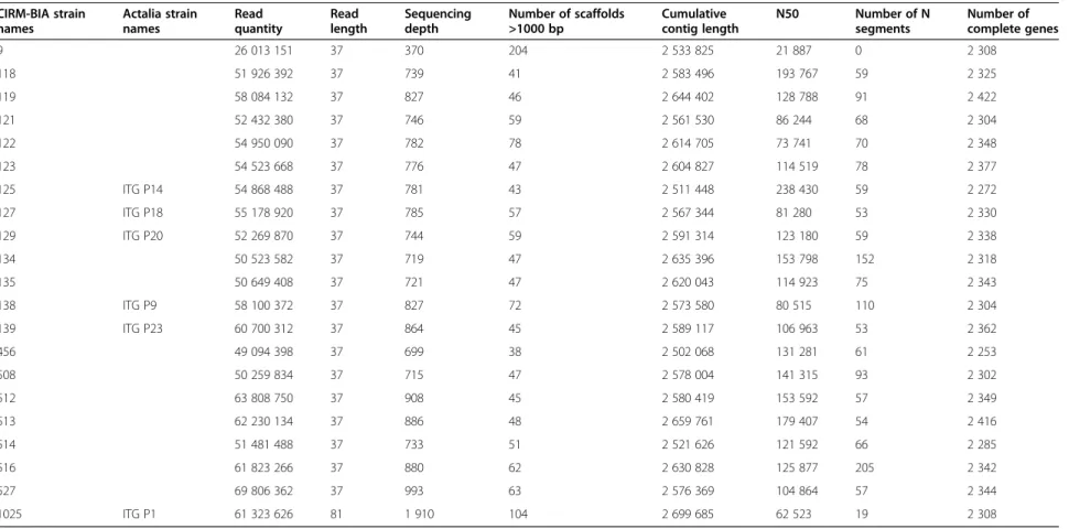 Table 2 Assembly and annotation metrics of 21 newly sequenced strains CIRM-BIA strain names Actalia strainnames Read quantity Read length Sequencingdepth Number of scaffolds&gt;1000 bp Cumulative contig length N50 Number of Nsegments Number of complete gen