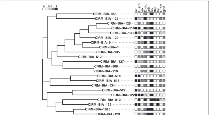 Figure 1 Phylogenetic tree of the 22 sequenced strains of Propionibacterium freudenreichi based on its core proteome