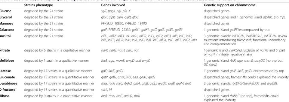 Table 4 List and dispatching of genes responsible for nitrate and sugar degradation in 21 strains of Propionibacterium freudenreichii