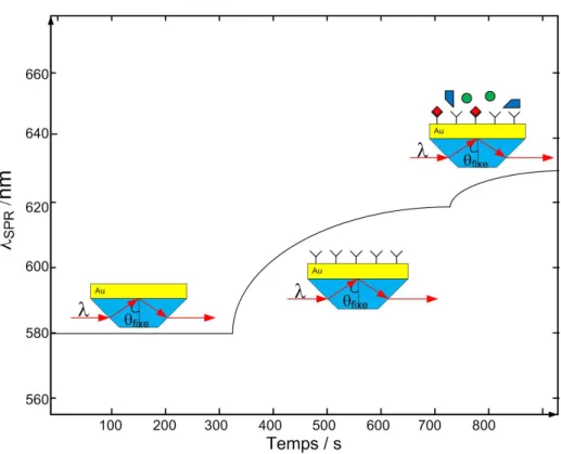 Figure  1.11  :  Représentation d’un essai  cinétique d’une biodétection SPR grâce au  changement de la longueur d’onde d’absorption