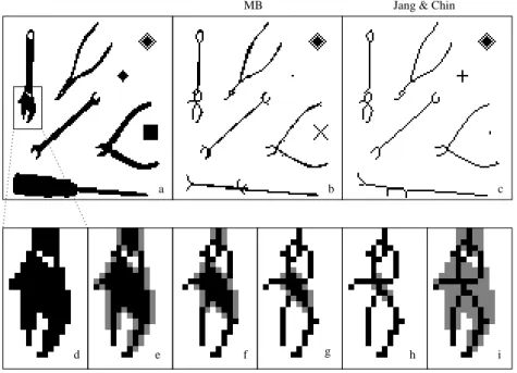 Fig. 2. Experimental results. Image (a) is the original one, whereas image (b) is the result of the convergence of the MB algorithm, reached after 6 iterations