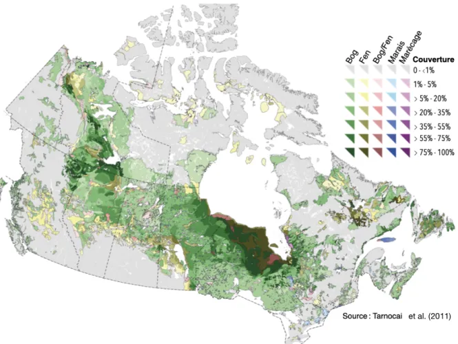 Figure 1.1. Distribution et étendue des tourbières au Canada. Les fens sont des tourbières minérotrophes