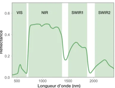 Figure 1.3. Représentation d’un spectre foliaire et des régions  spectrales présentant des particularités différentielles