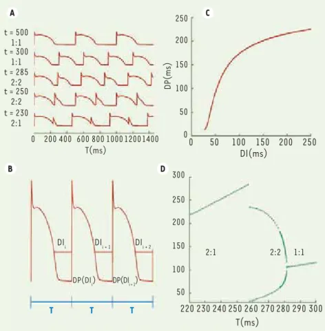 Figure 1.  Réponse à l’entraînement d’un  modèle de myocyte isolé. A. Évolution de la  réponse à l’entraînement d’un modèle de  myocyte ventriculaire cardiaque en fonction  de la période de stimulation [30]