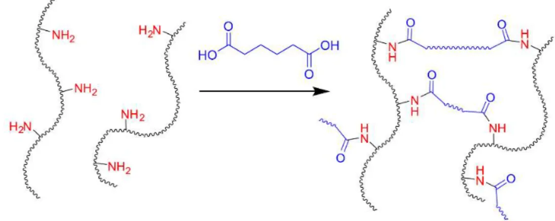 Figure III-8. Représentation de la réaction de réticulation des PNL avec l’acide hexanedioïque