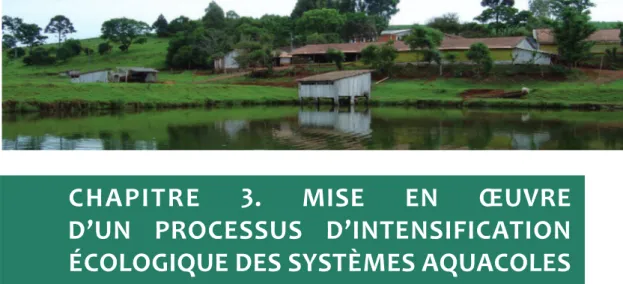Figure 8 : Exemples de profils de mise de l’intensification écologique de l’aquaculture