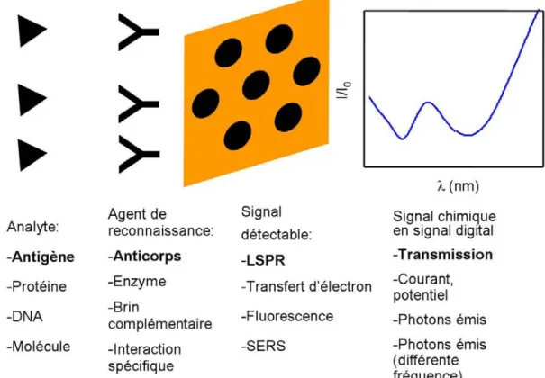 Figure 1.1 : Exemples des paramètres d’un biocapteur. Le schéma et le texte en  gras correspondent à un biocapteur LSPR