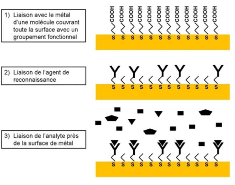 Figure 1.10 : Schéma des étapes nécessaires à la liaison d’un analyte spécifique à  la surface de métal