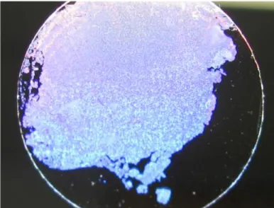 Figure 2.1 : Vue macroscopique de nanosphères de polystyrène de 450 nm de diamètre  organisées par la méthode de Langmuir-Blodgett