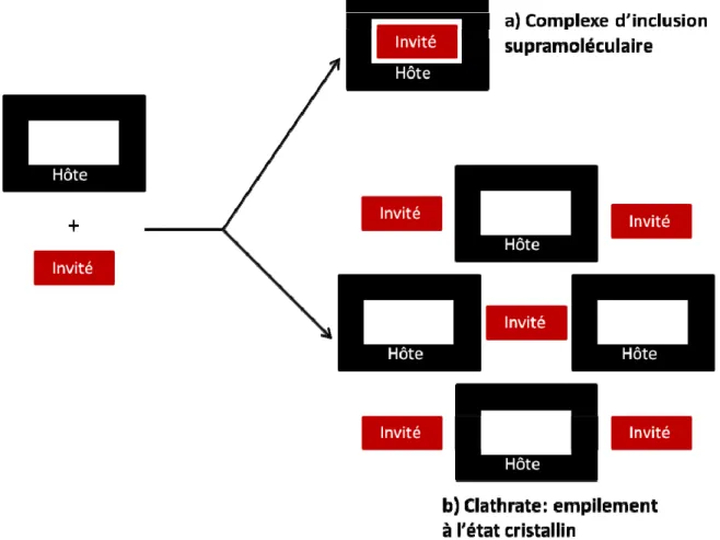 Figure 1.2. Représentation schématique illustrant la différence entre un complexe  d’inclusion et un clathrate