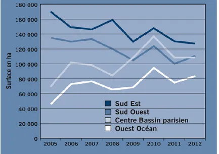 Figure 3: Evolution des surfaces en blé dur en France (ha) (VALLADE, 2013) 