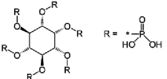 Figure 1-  Structure moléculaire de l'acide phytique (Kumar et al. 2010) 