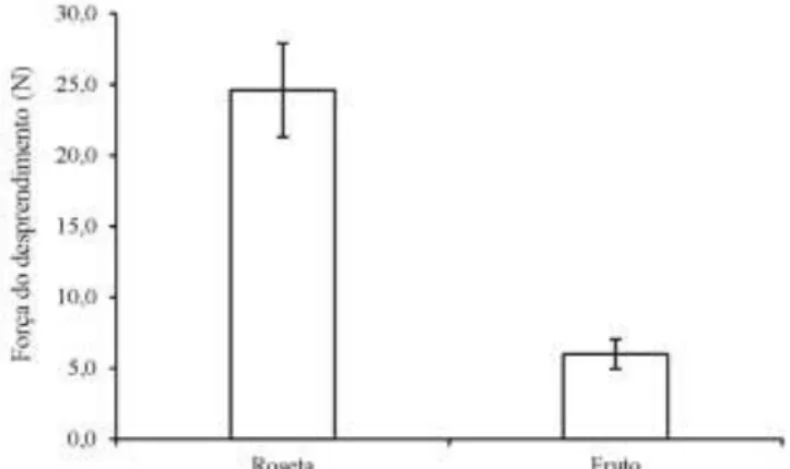 Figura 1. Média e desvio padrão da força (N) necessária para o desprendimento da roseta de frutos e de cada fruto de  café conilon no estágio de maturação