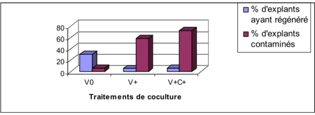 Figure  n°  05 :  Effet  des  trois  traitements  de  coculture  sur  la  régénération et  le  taux  de  contamination des explants par l’Agrobactérie