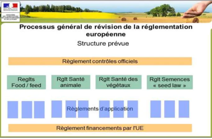 Figure 4.1 : Processus général de révision de la réglementation européenne   en matière de protection variétale 