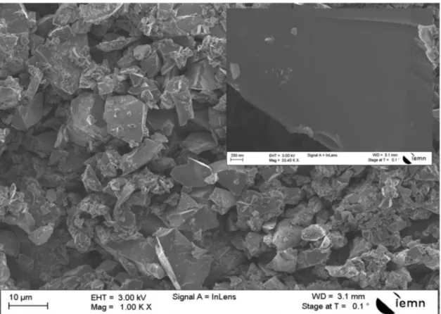 Fig. 3. SEM image of untreated SimPs (insert image is a high-magniﬁcation view).