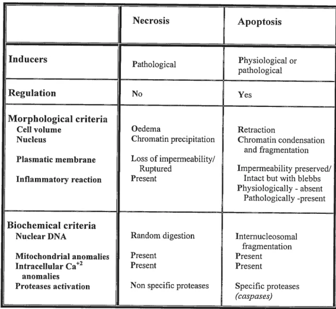 Table 1 Comparative table behveen the morphotogical and biochemicat properties of apoptosis (md necrosis Necrosis Apoptosis Inducers Pathological Physiological or pathological Regulation No Yes Morphological criteria
