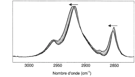 Figure t5 Augmentation de la fréquence des bandes associées aux élongations C-H des chaînes acyles de la DMPC lors de son passage de la phase gel à la phase liquide cristalline (T =