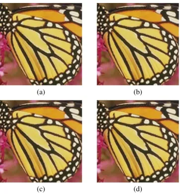 Fig. 4. Visual comparisons on the butterfly image super-resolved by a factor of 3, between the different patch generation schemes: (a) Scheme1 (b) Scheme2 (c) Scheme3 (d) Scheme3 + JSK-based dictionary learning.