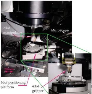 Fig. 1. The ﬁve degrees of freedom microassembly workcell