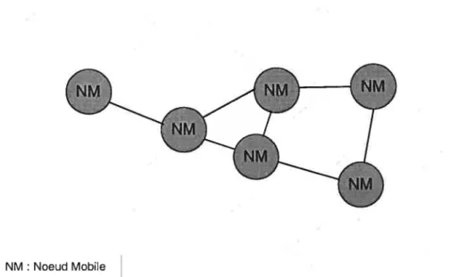 Figure 1.2 : réseau sans fil sans infrastructure (réseau ad hoc).