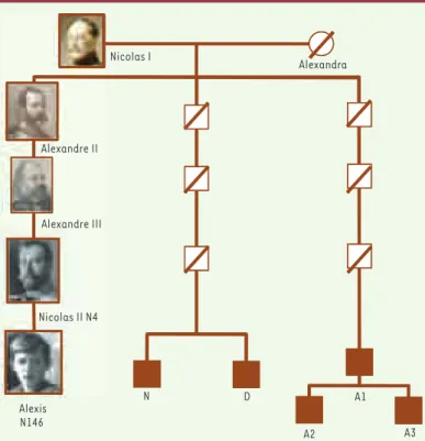 Figure 2. Analyse de la lignée paternelle de la famille Romanov. 