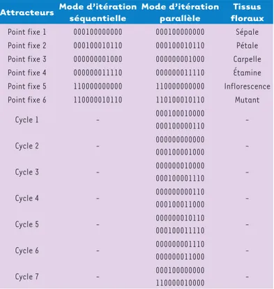 Figure 8.  Attracteurs du système décrit par le graphe d’interactions de la   floraison  d’Arabidopsis thaliana (où 0 remplace -1).