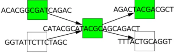 Figure 5: Cytoscape view of the selected nodes (green) in the string graph after the research of query sequence.