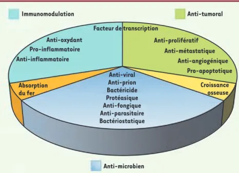 Figure 1.  La lactoferrine : une protéine mul- mul-tifonctionnelle. Les rôles multiples de la  lac-toferrine sont regroupés en secteurs : rôles  microbiens, immunomodulateurs,  anti-tumoraux, dans l’absorption du fer et dans la  croissance osseuse.
