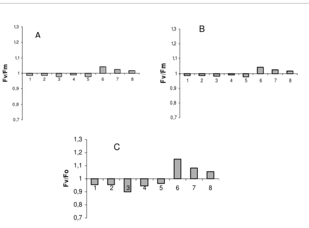 FIGURA  1  -  Parâmetros  da  fluorescência  transiente  da  fotossíntese  primária  obtido  em  plantas  de  Citrus  limon  cultivares:  Lisboa  (1);  De-Ba-Ahmed  (2);  Georgia  (3);  Manachello  (4);  Lunario  (5); 