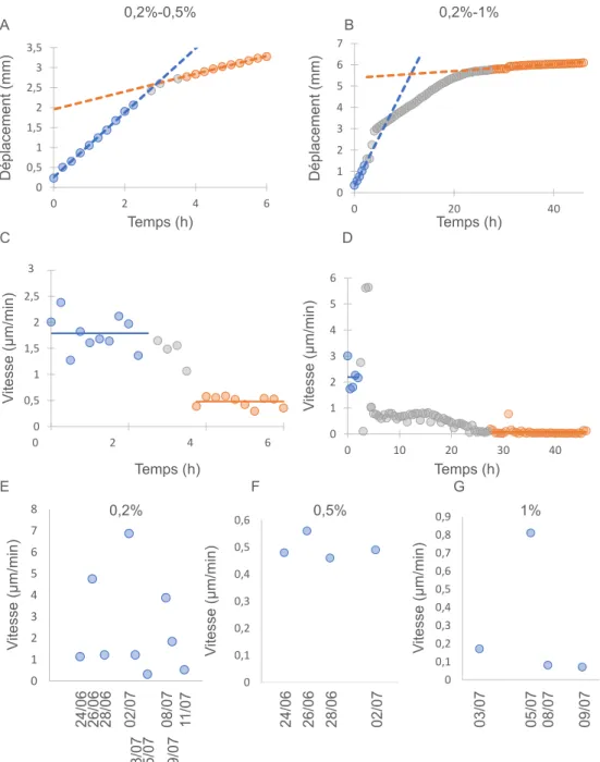 Figure 9: Analyse de la croissance des racines d’Arabidopsis thaliana A-B : D´eplacements cumul´es d’une racine d’ Arabidopsis thaliana dans un milieu 0,2%-0,5% (A) et 0,2%-1% (B) Les point bleus correspondent aux d´eplacements de la racine dans le milieu 