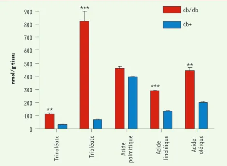 Figure 2.  Profil métabolomique des triglycéri- triglycéri-des au niveau du foie triglycéri-des souris diabétiques  (db/db) et des souris témoins (db+) à l'âge  de  12 semaines