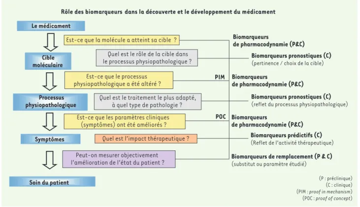 Figure 3. Intégration des biomarqueurs dans le processus de découverte et de développement des médicaments